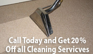 chinese rug cleaner Bay Ridge